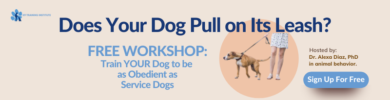 FREE WORKSHOP to train your dog to be as obedient as service dog