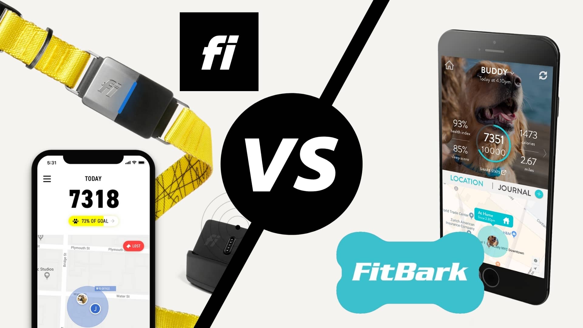 Fi smart dog collar vs Fitbark digital dog monitor next to each other