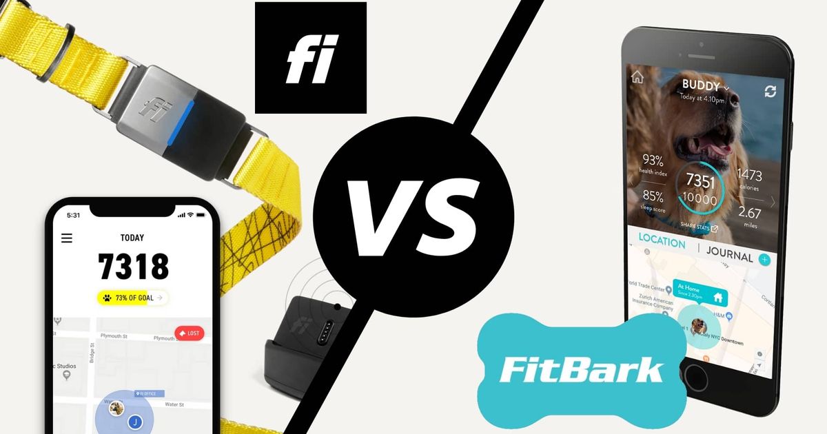 Fi smart dog collar vs Fitbark digital dog monitor next to each other