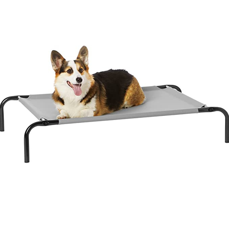 Amazon Basics Cooling Elevated Pet Bed