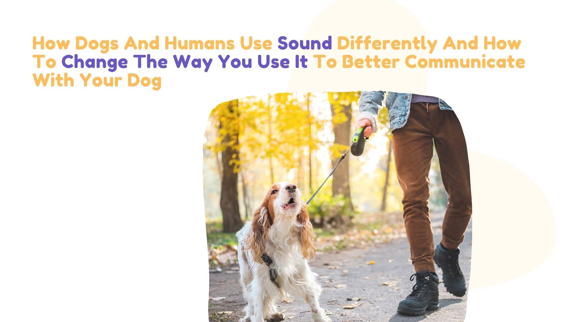 How Dogs And Humans Use Sound Differently And How To Change The Way You Use It To Better Communicate With Your Dog