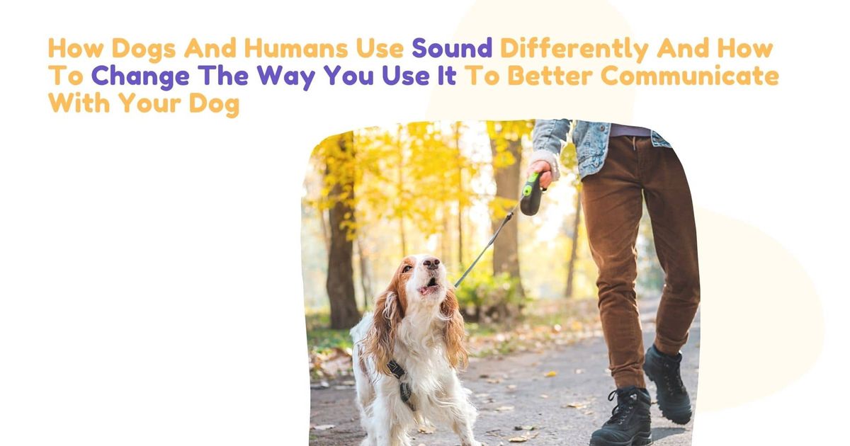 How Dogs And Humans Use Sound Differently And How To Change The Way You Use It To Better Communicate With Your Dog