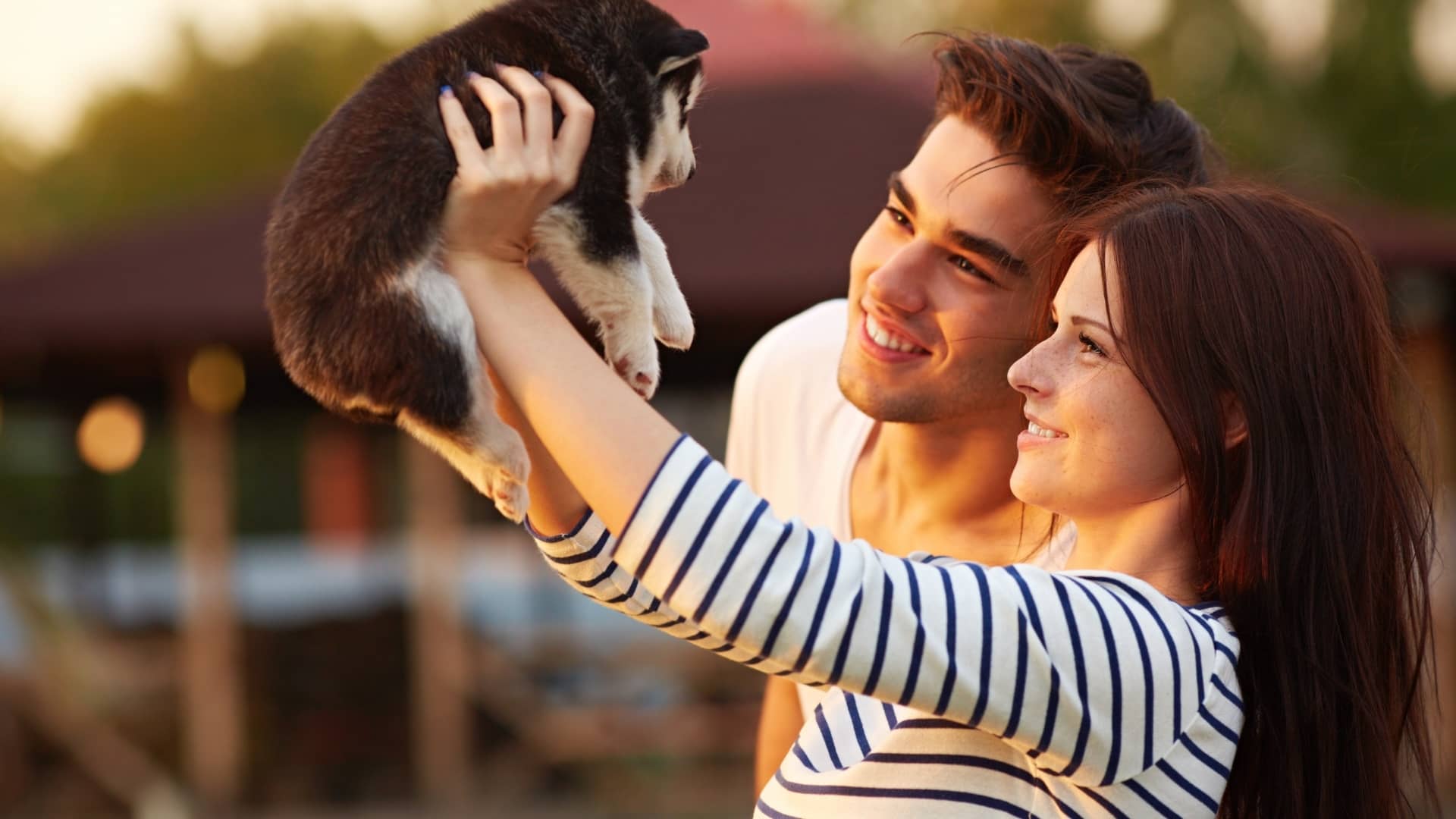 What Are The Common Dog Personalities? Things You Need To Know When Choosing A Puppy