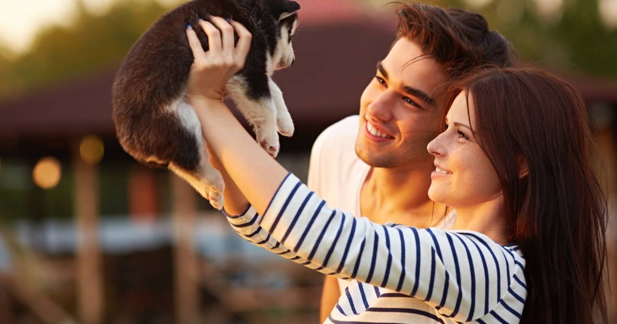 What Are The Common Dog Personalities? Things You Need To Know When Choosing A Puppy