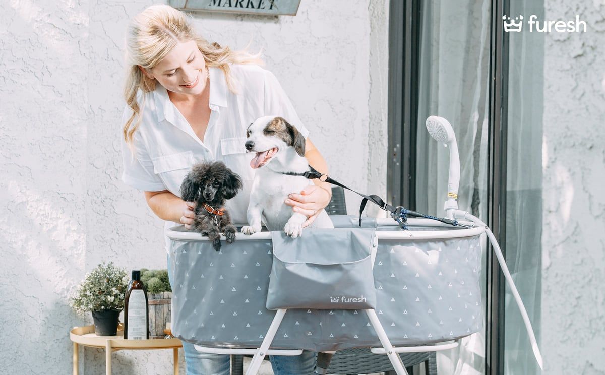 Furesh Launches First-Ever Elevated, Foldable Pet Bathtub on Kickstarter