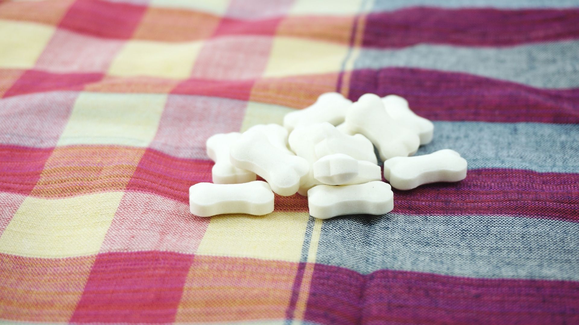 7 Vitamins Your Dog Needs for a Healthy Life