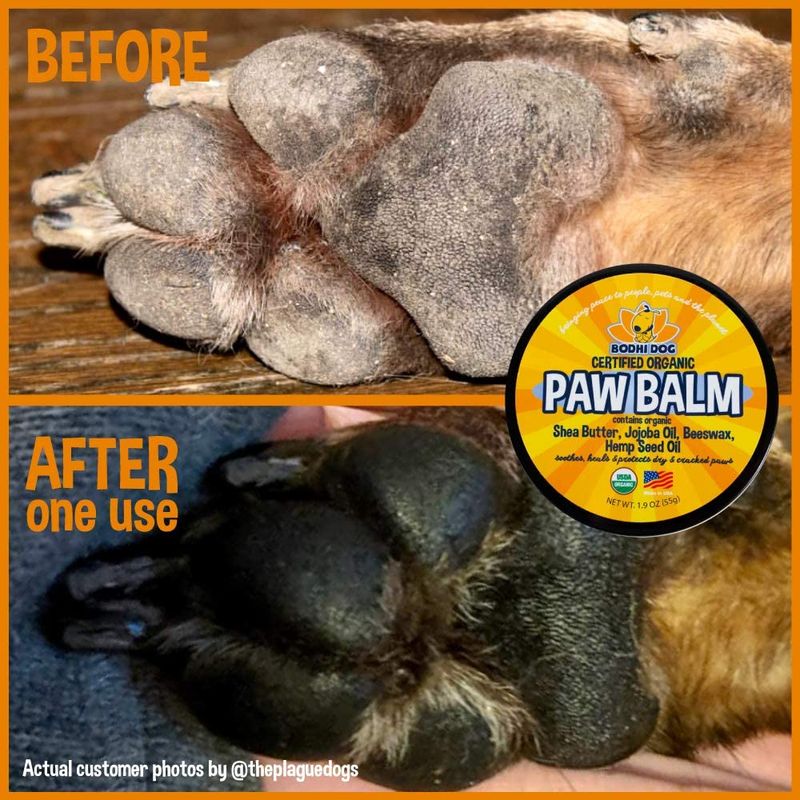 Bodhi Dog Organic Dog Paw Balm Actual Customer Photo by theplaguedogs