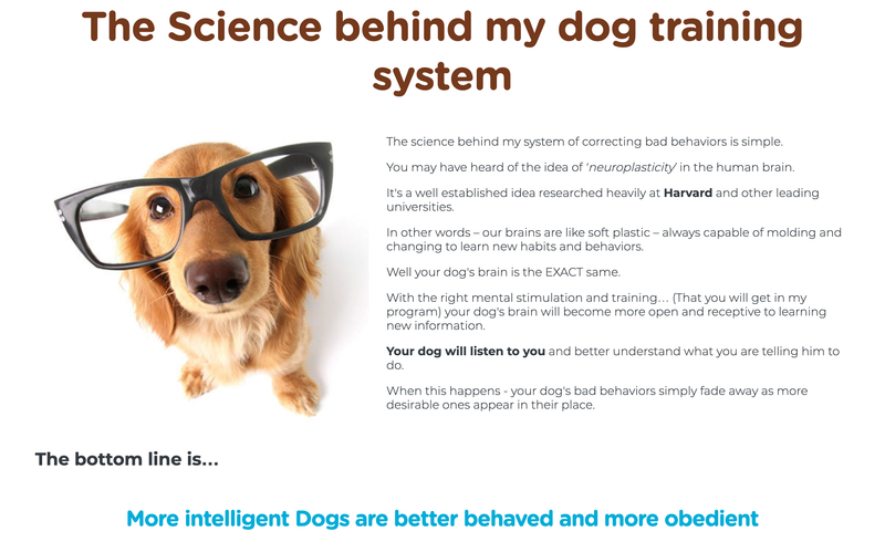 Brain Training for dogs @ scruffy the dog