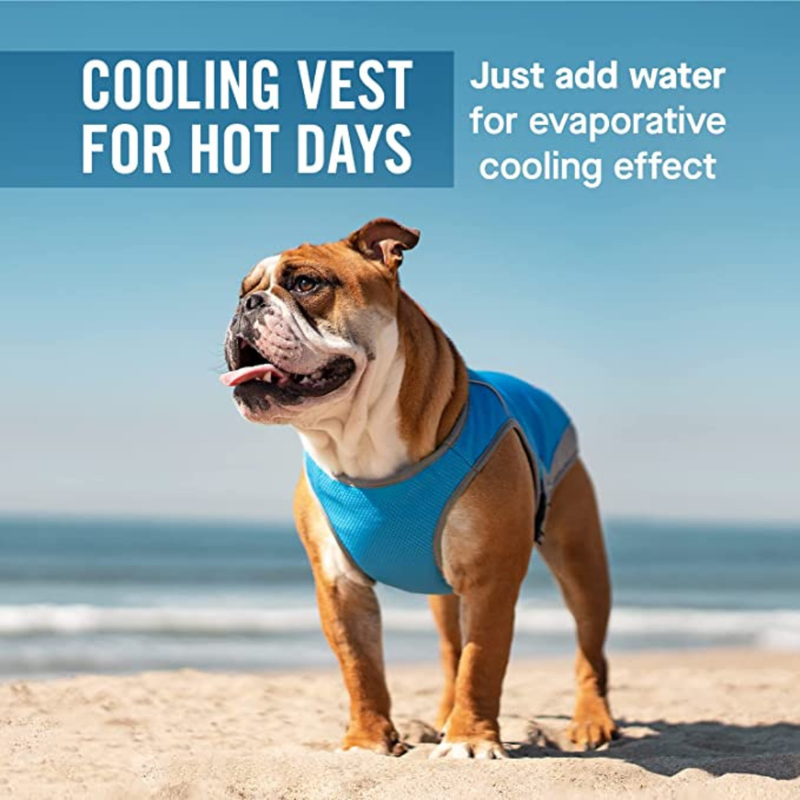 The Canada Pooch Dog Cooling Vest