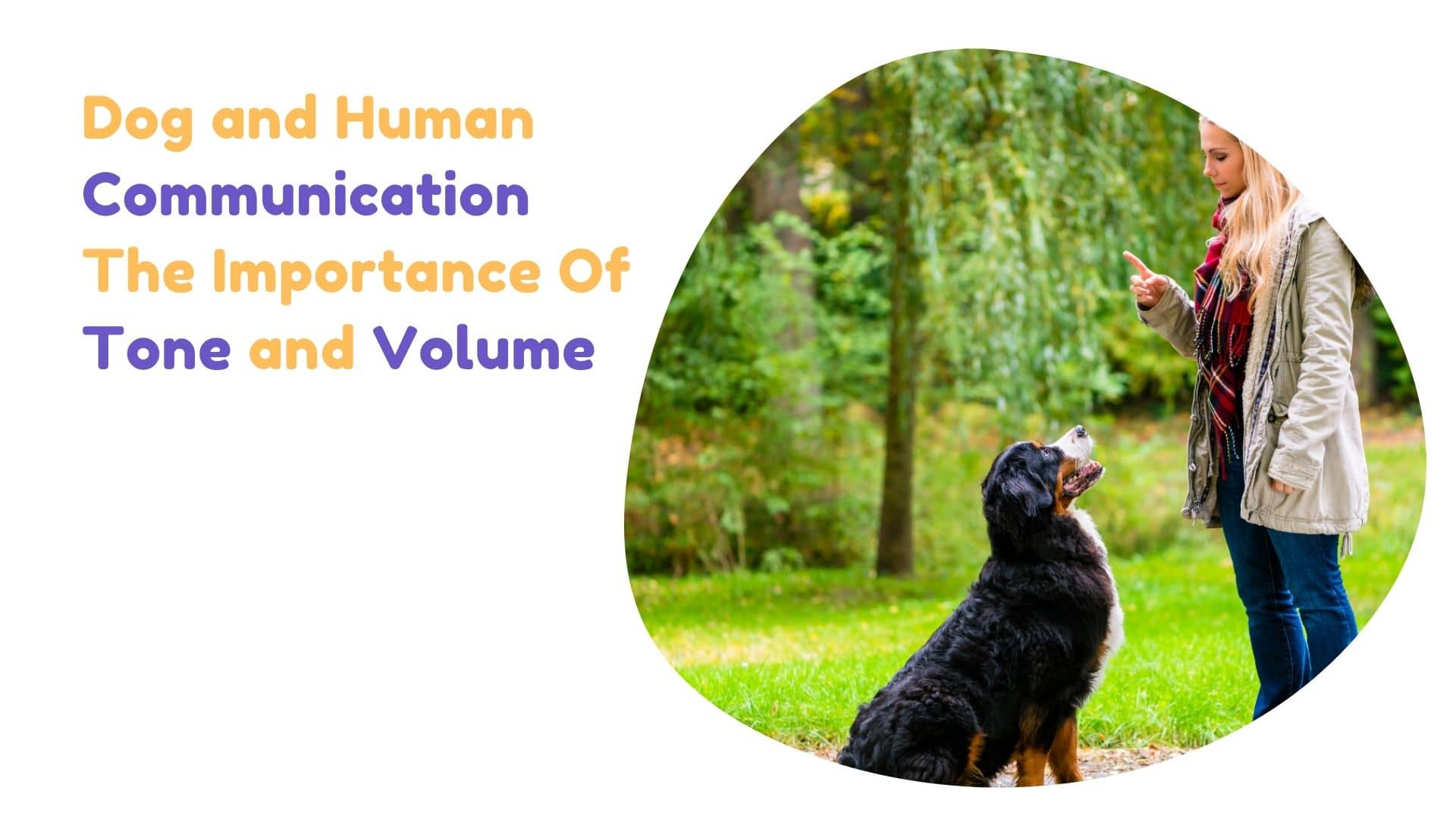 Dog and Human Communication: The Importance Of Tone and Volume