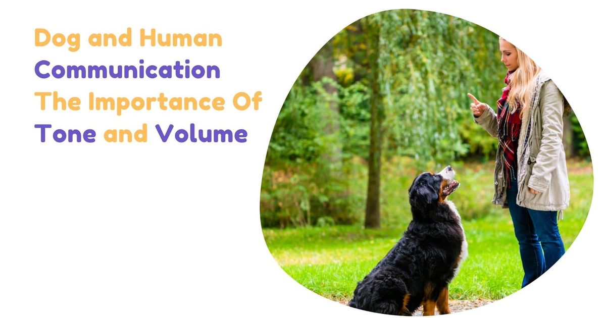 Dog and Human Communication: The Importance Of Tone and Volume