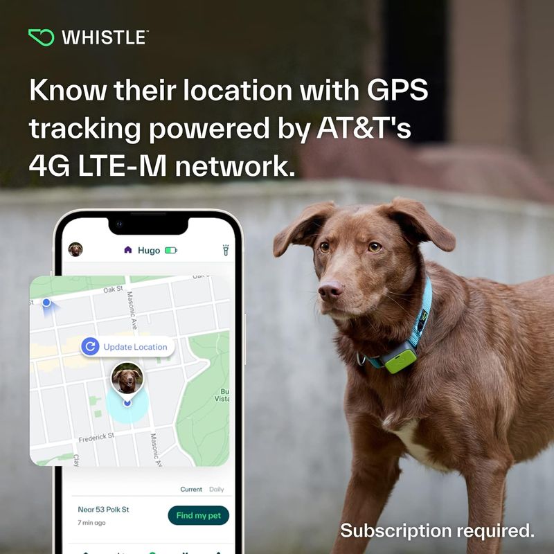 image source: Whistle