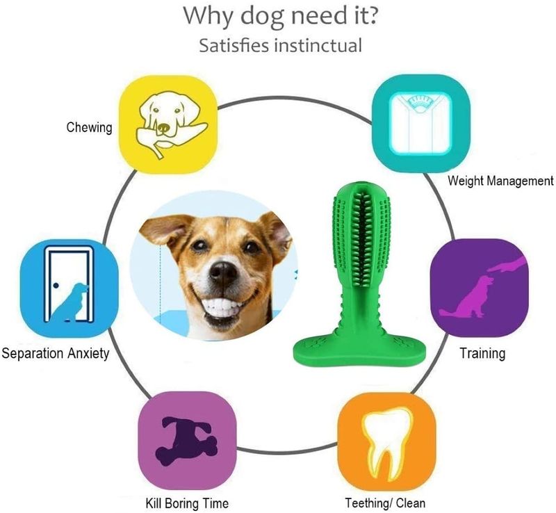 Zadyx stick toothbrush for dogs at scruffythedog.com