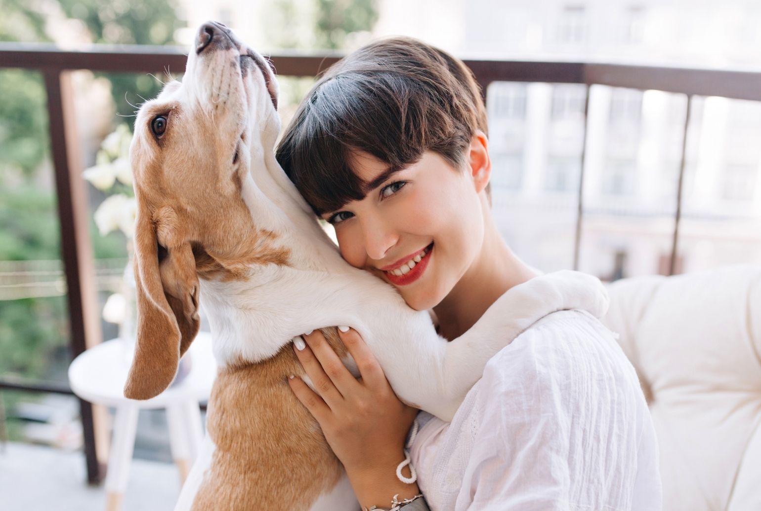 How To Be A Good Dog Owner