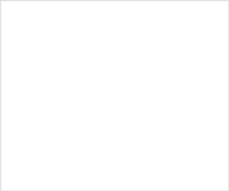 Genius Dog 336 x 280 - Animated