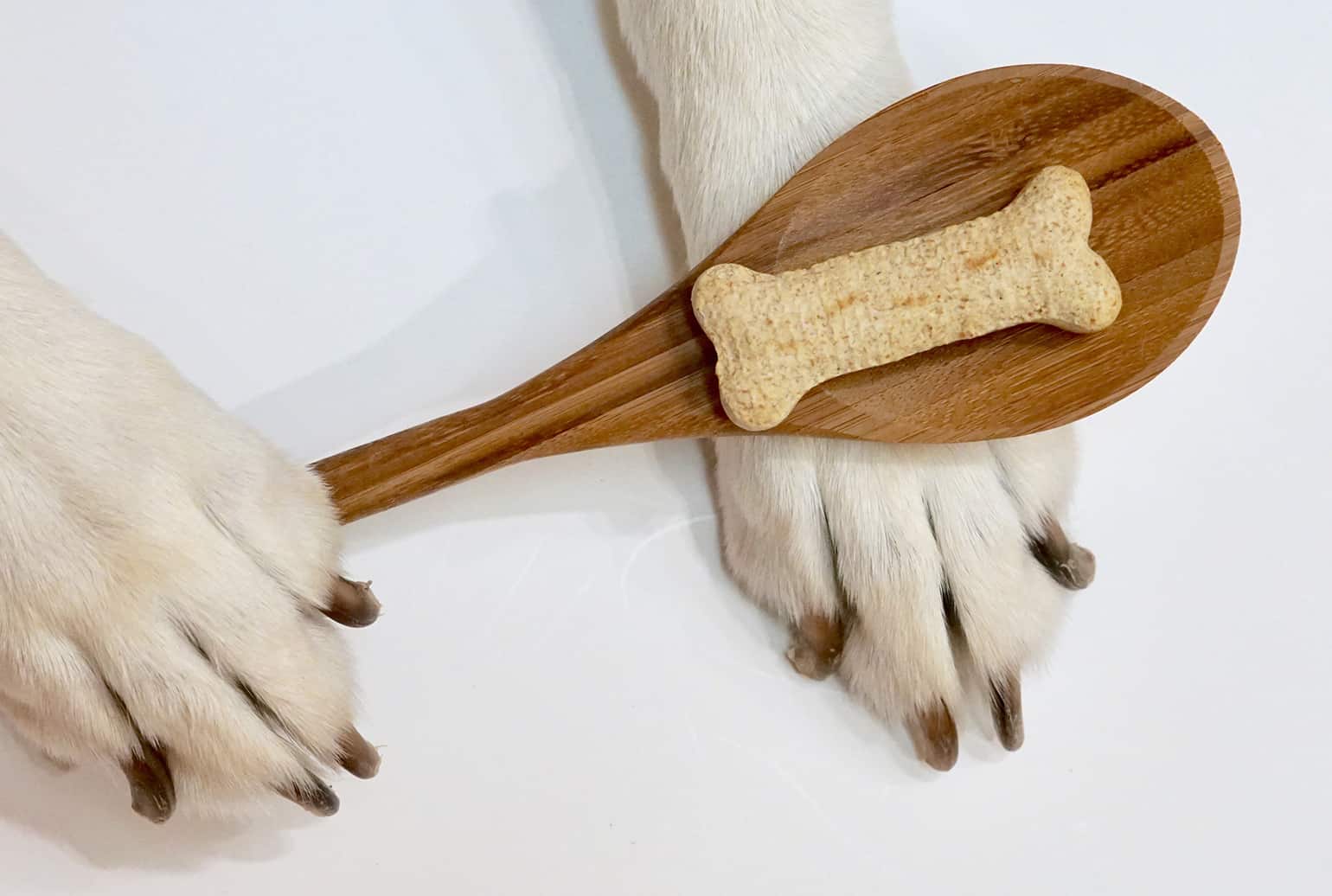 Dog Food The Natural Way!