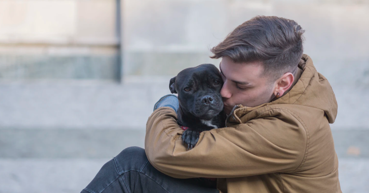 What Are the Best Small Dog Breeds for Anxiety?