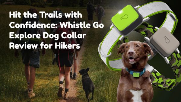 background image of group of people going on a hike with dog