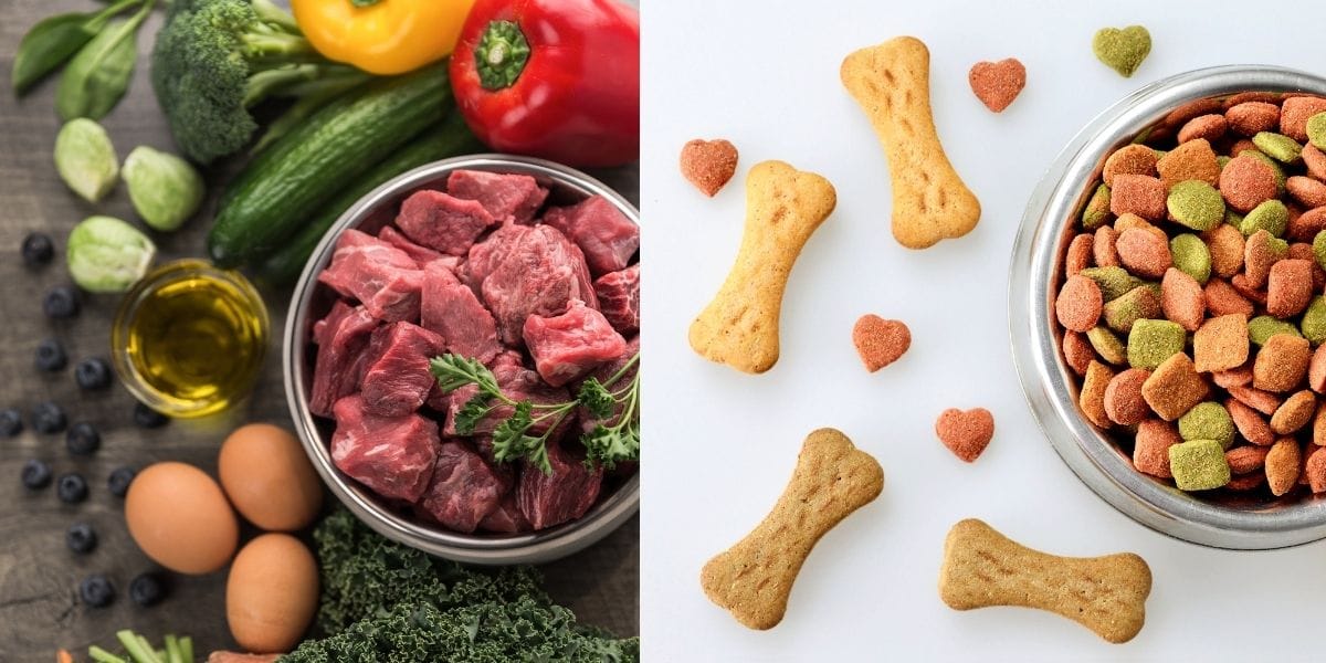 All Dog Foods Are Not The Very same