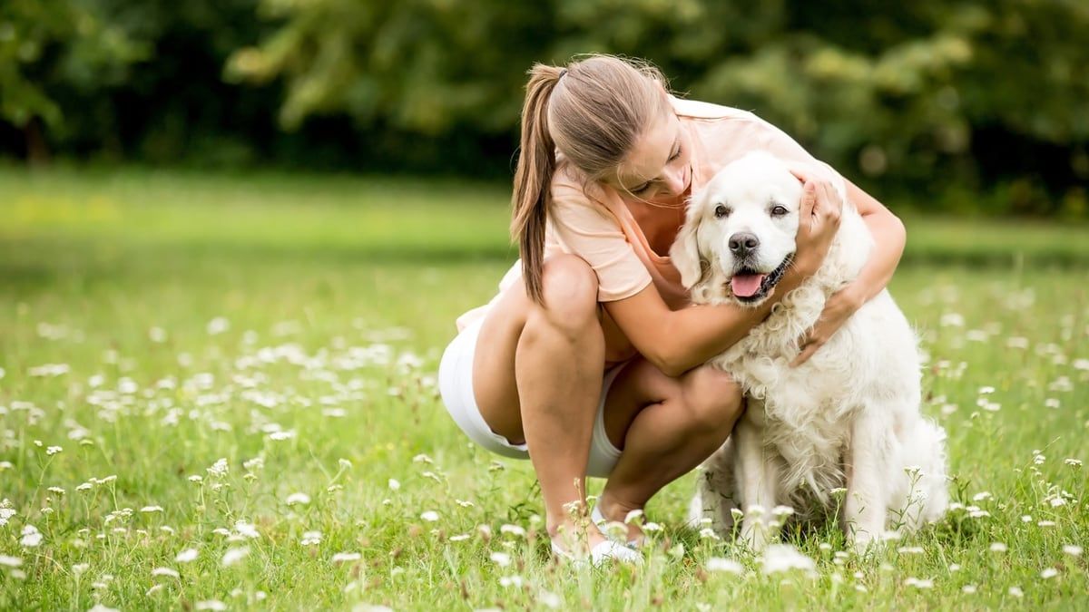 How Therapy Pets Can Help Those with Mental Health Issues