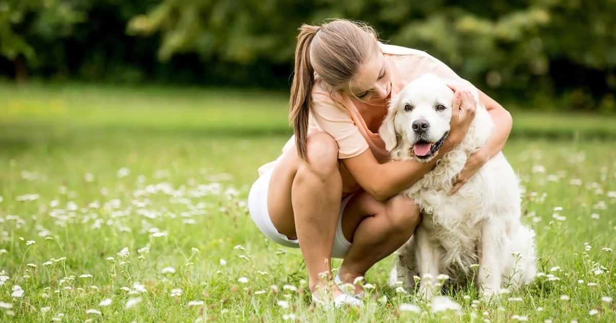How Therapy Pets Can Help Those with Mental Health Issues