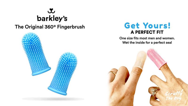 Barkley's toothbrush featured at scruffythedog.com