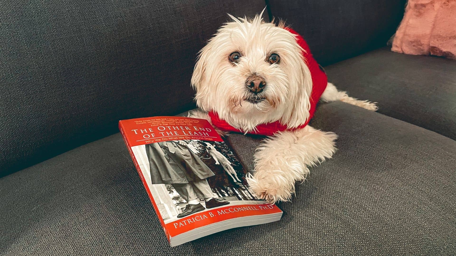 "The Other End of the Leash: Why We Do What We Do Around Dogs" by Patricia B. McConnell *Book Review*