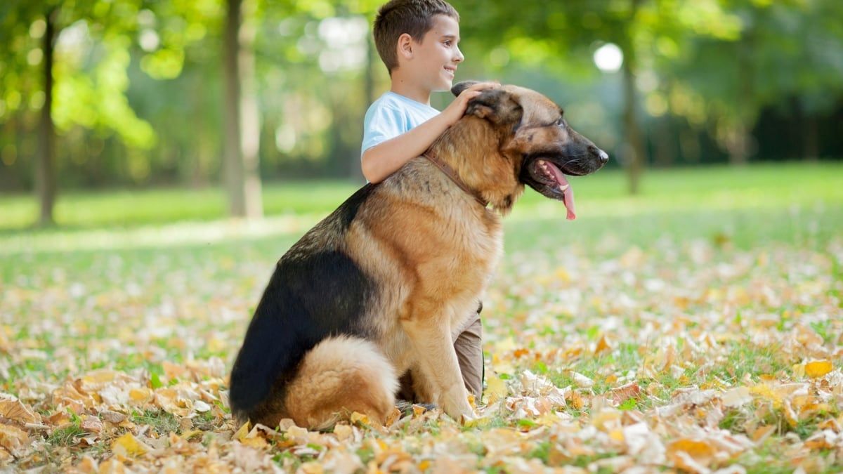 Six Ways a Therapy Pet Can Help Children