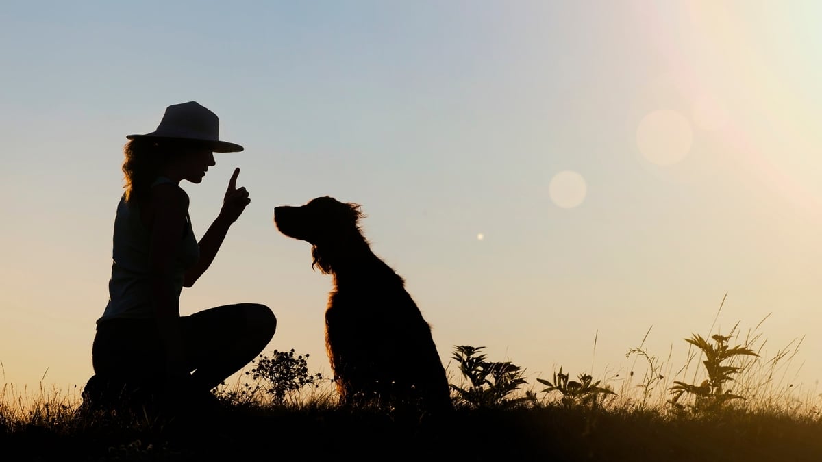 How to Train Your Pet to Become a Therapy Pet