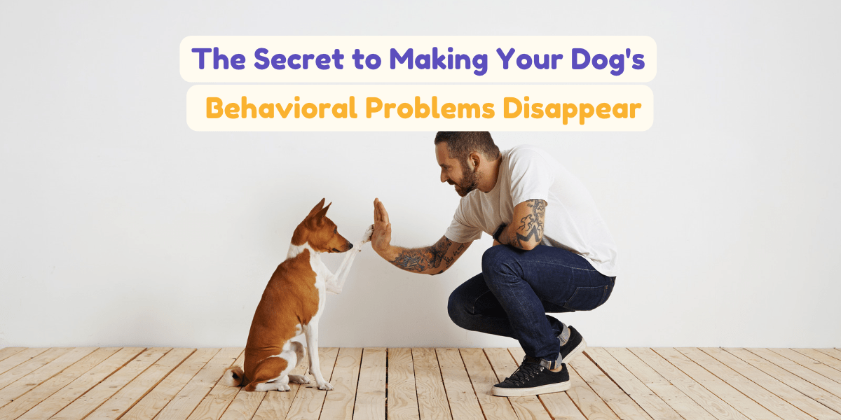The Secret to Making Your Dog's Behavioral Problems Disappear