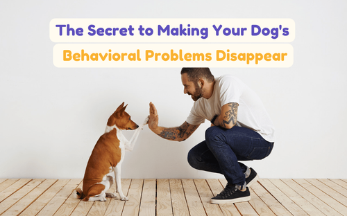 The Secret to Making Your Dog's Behavioral Problems Disappear