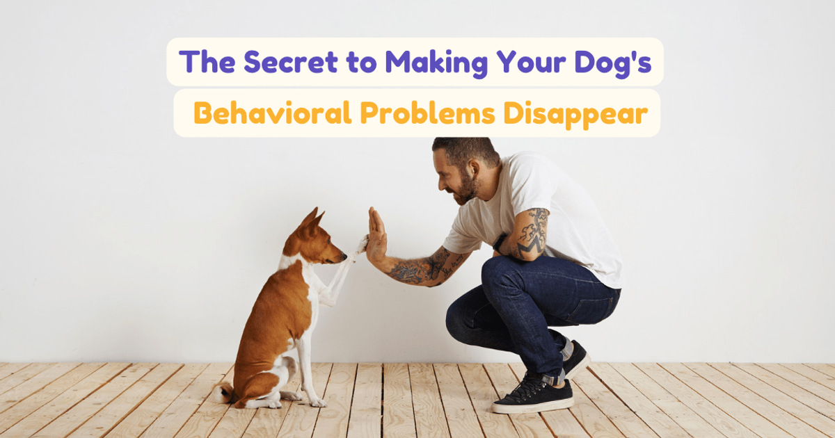 The Secret to Making Your Dog's Behavioral Problems Disappear