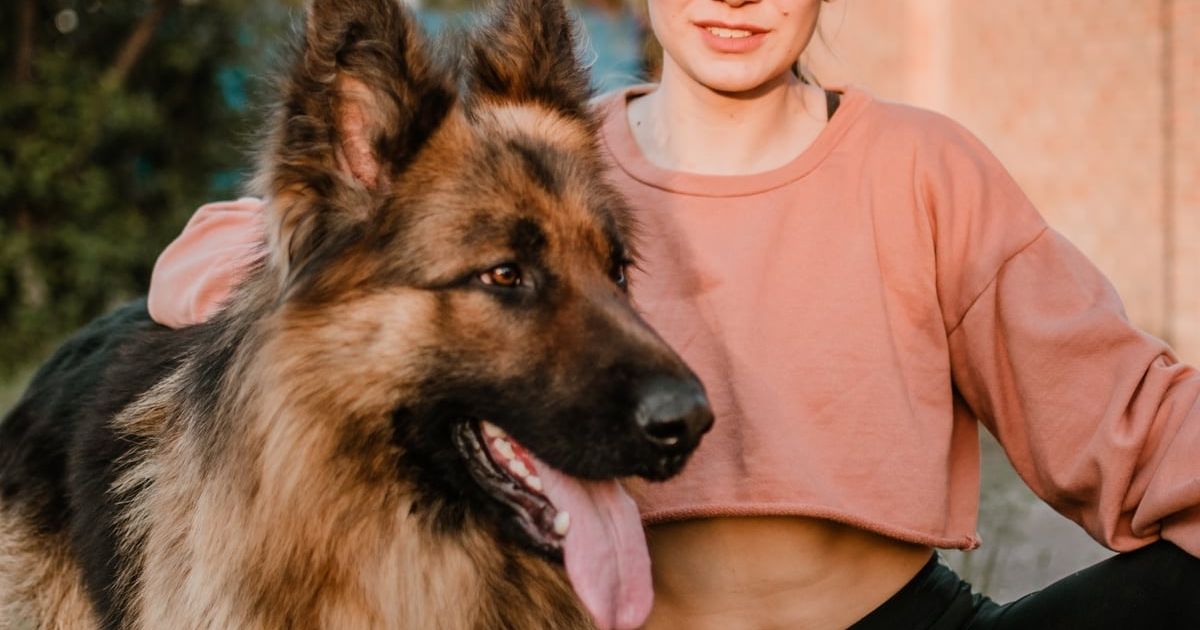 Top Ten Therapy Dog Breeds