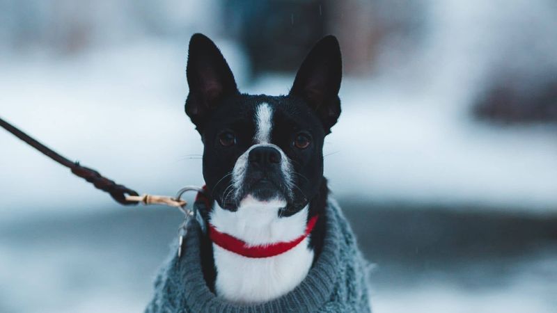 Photo by Erik Mclean from Pexels