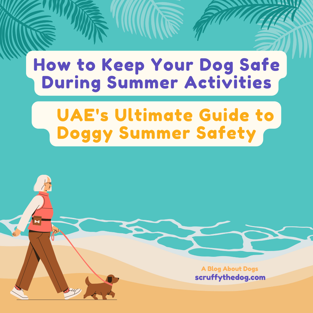 How to Keep Your Dog Safe During Summer Activities: UAE's Ultimate Guide to Doggy Summer Safety