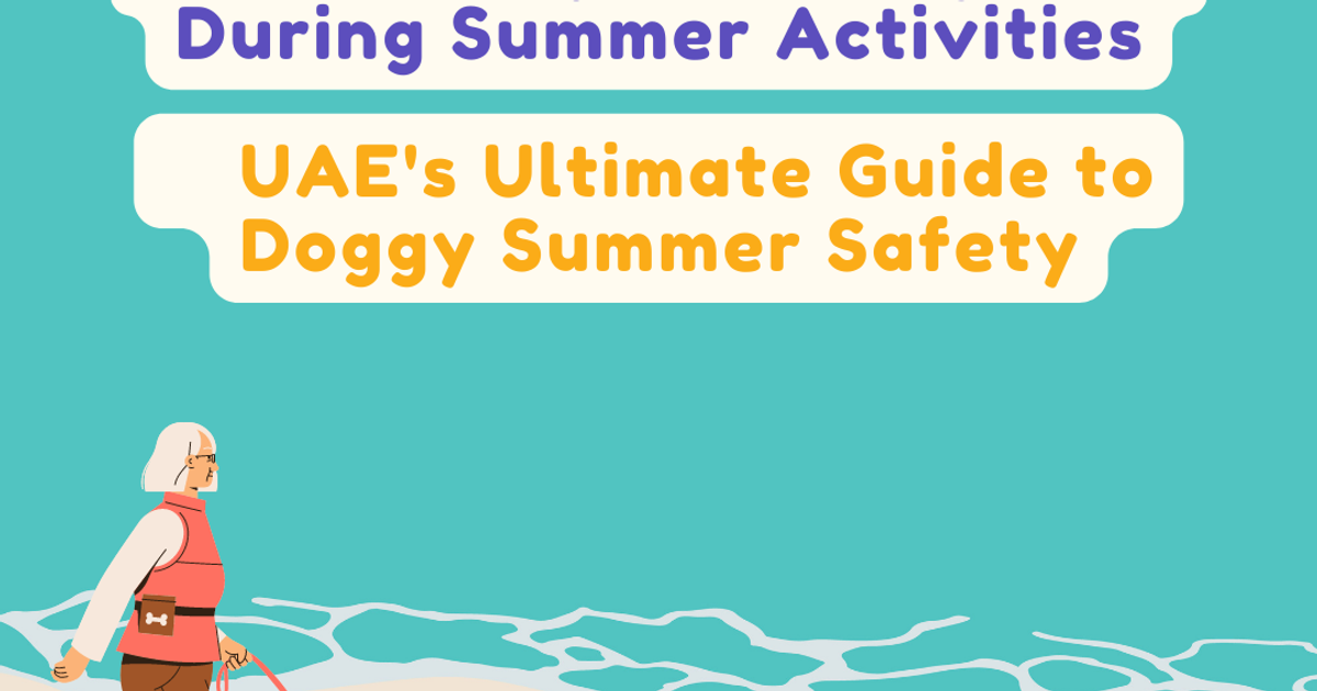 How to Keep Your Dog Safe During Summer Activities: UAE's Ultimate Guide to Doggy Summer Safety