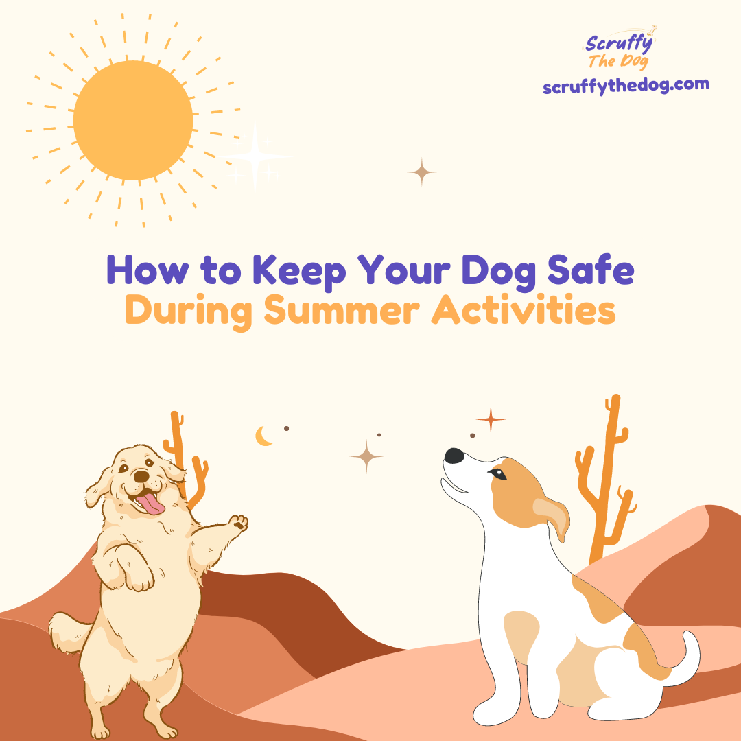 Hot Fun in the Arabian Sun: 5 Fantastic Ways to Keep Your Dog Entertained this UAE Summer