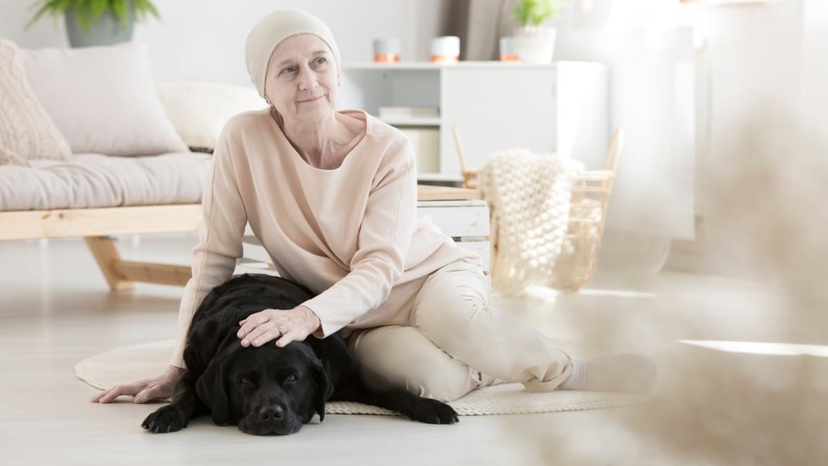 Four Ways a Therapy Pet Can Help the Sick