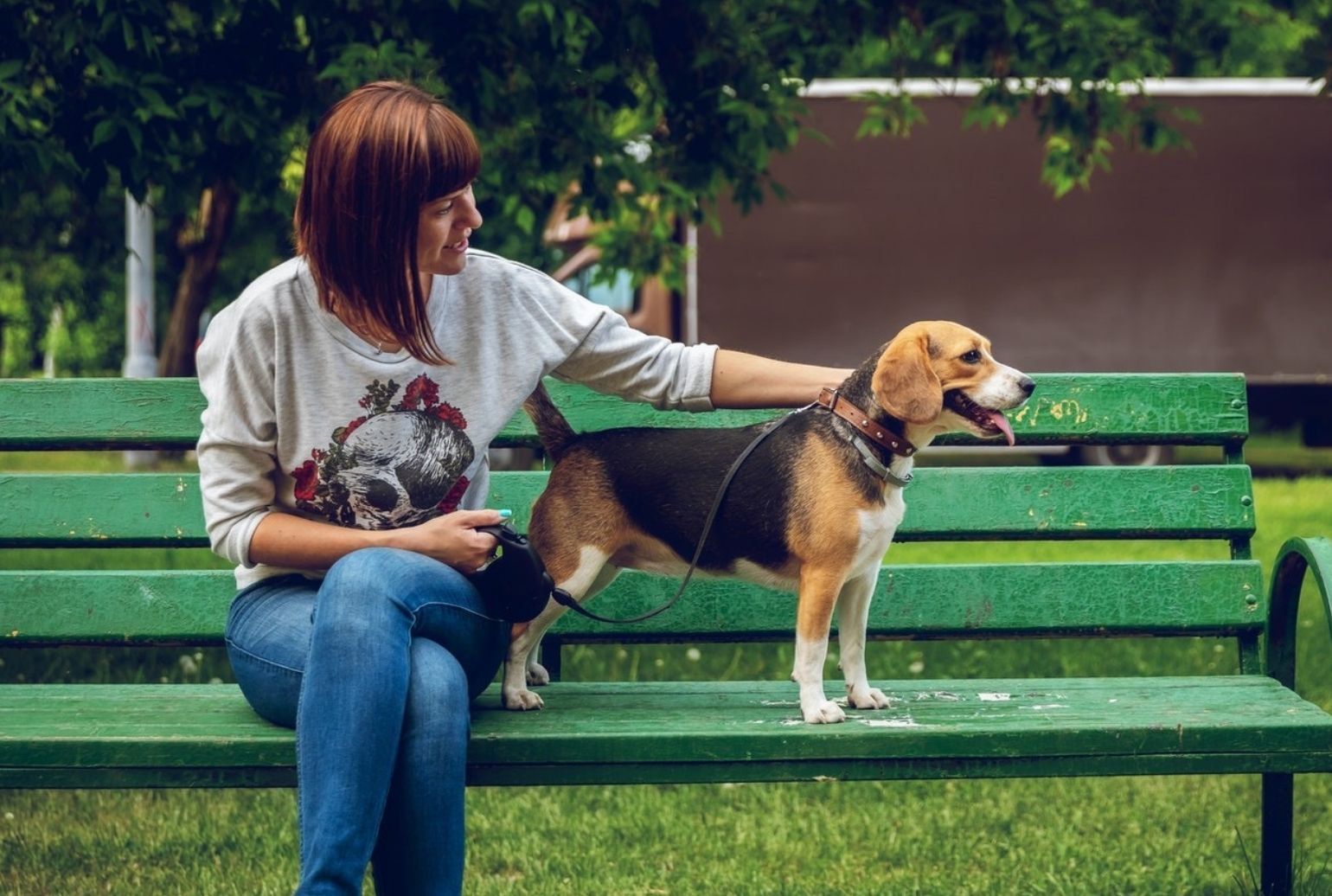 How Owning A Dog Can Improve Your Health