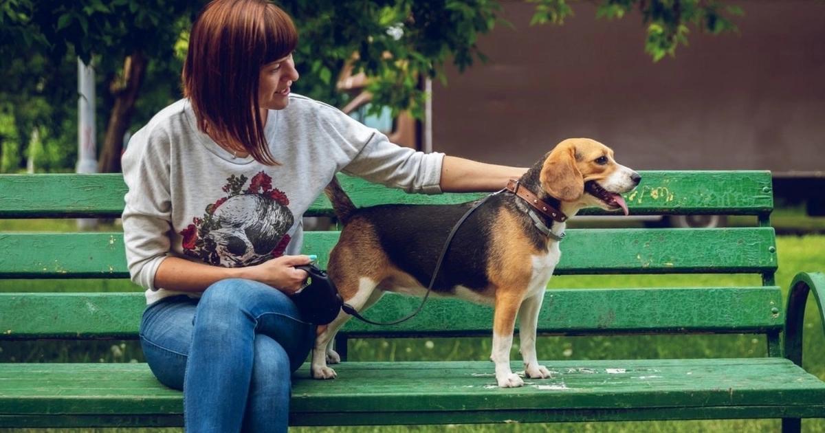 How Owning A Dog Can Improve Your Health