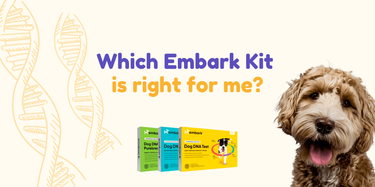 Which Embark Kit is right for me?
