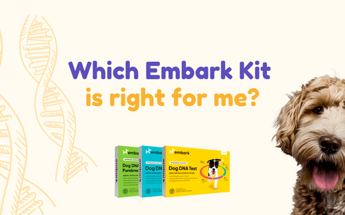 Which Embark Kit is right for me?