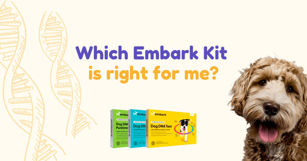 Which Embark Kit is right for me?