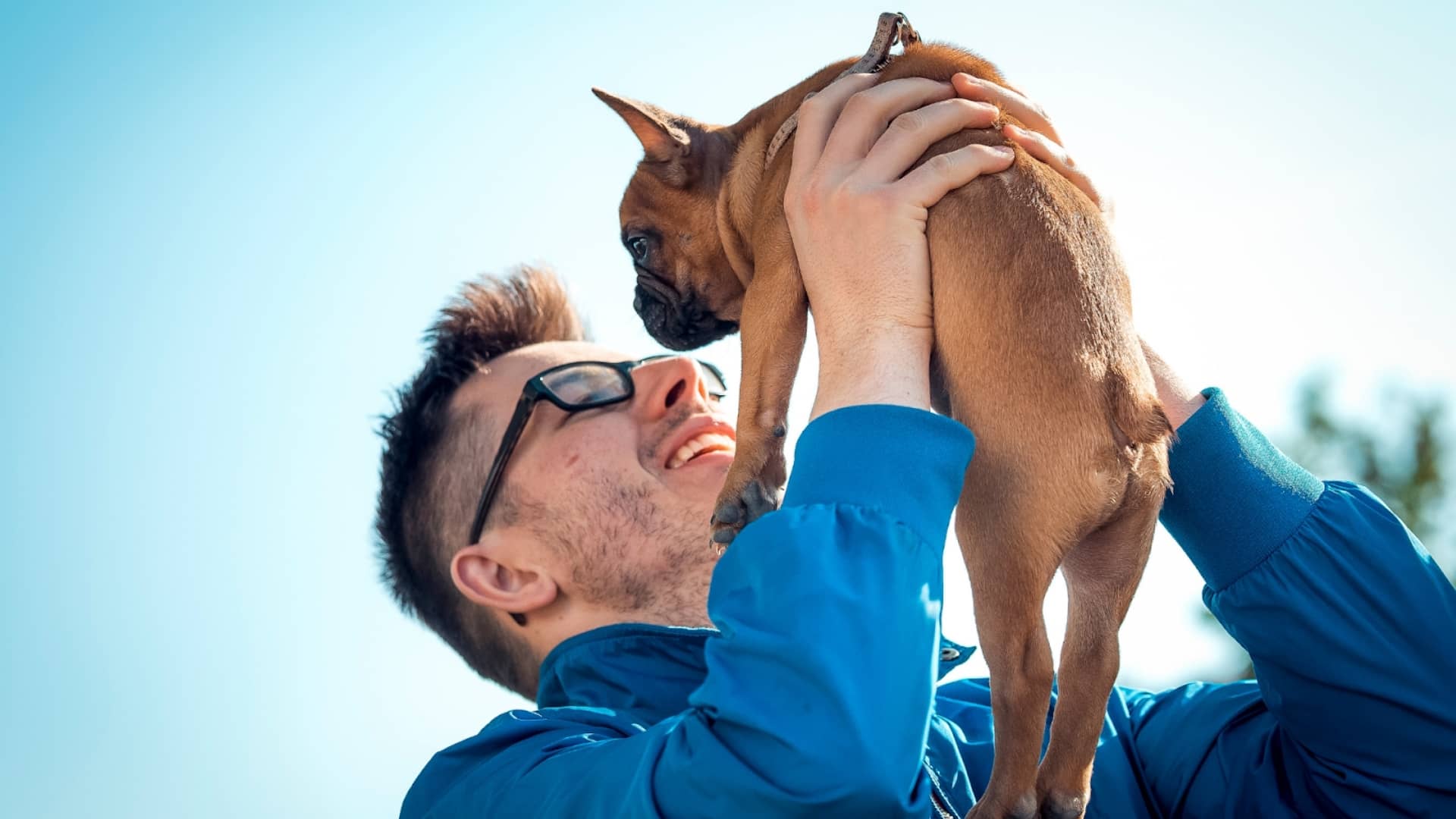 Every Dog Is Different, but Some Dogs Are More Different Than Others