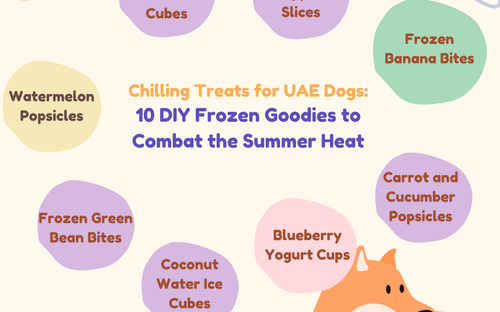 Chilling Treats for UAE Dogs: 10 DIY Frozen Goodies to Combat the Summer Heat