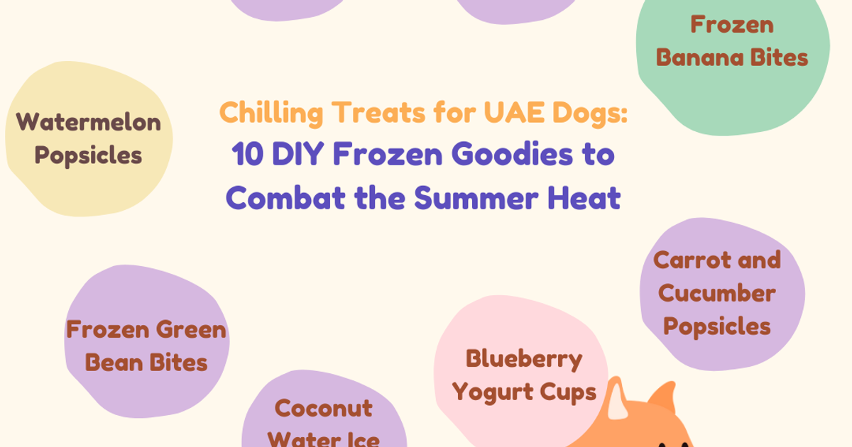 Chilling Treats for UAE Dogs: 10 DIY Frozen Goodies to Combat the Summer Heat