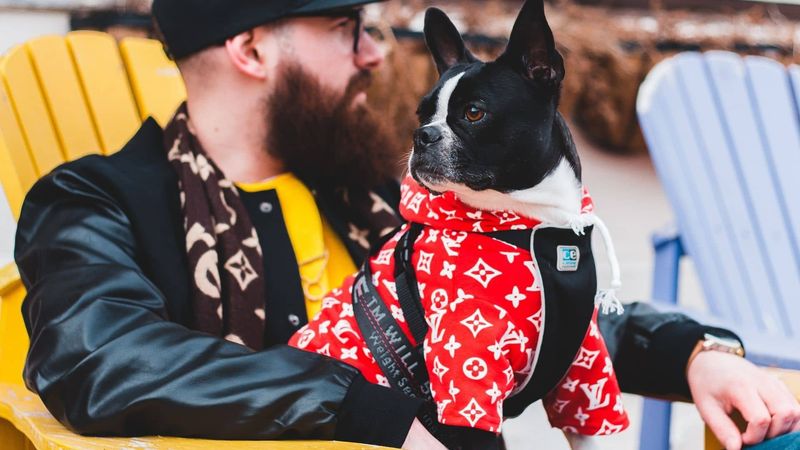 Photo by Erik Mclean from Pexels