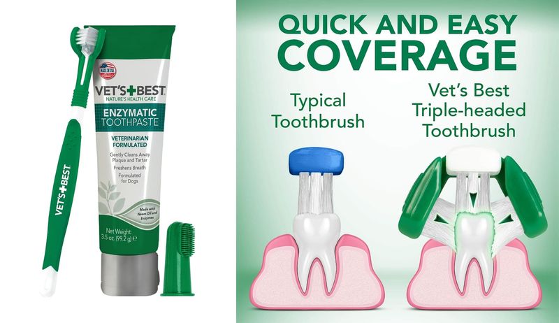 Product shot of Vet's Best Dog Toothbrush and Toothpaste kit