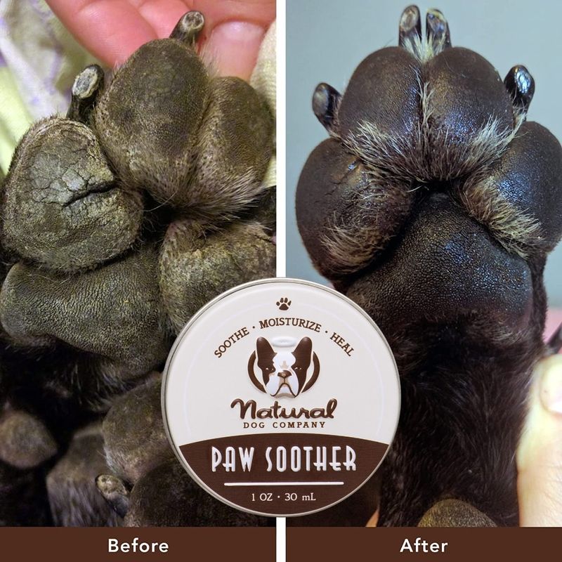 Natural Dog Company Paw Soother Tin
