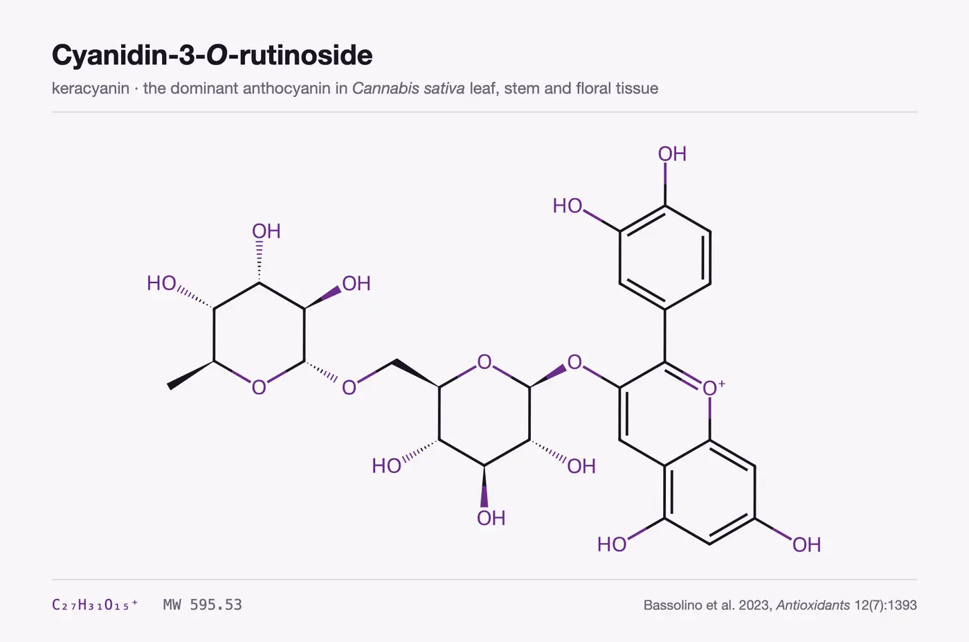 Chemical structure of cyanidin-3-O-rutinoside, formula C27H31O15+, molecular weight 595.53, showing the cyanidin flavylium core with a rutinose sugar attached at the 3-position.